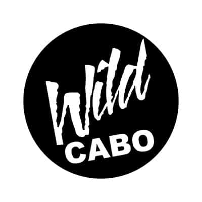 Wild Cabo Tours